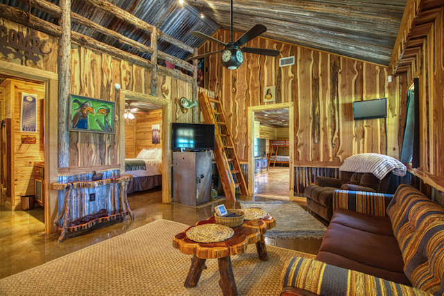Modern, well-appointed cabin at Camplee surrounded by pines